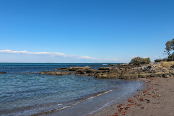 観音崎海水浴場（神奈川県横須賀市）