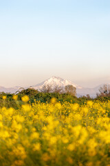 monta&ntilde;a con nieve