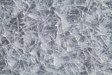 ice crystals frozen into the icy surface