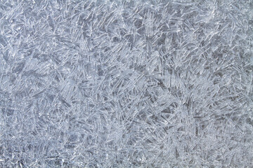 the ice needles froze together and formed a bizarre pattern