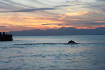 江ノ島から見る伊豆半島のシルエットとオレンジ色の夕日