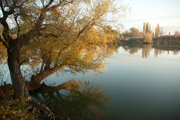 Autumn landscape with a river and trees.
