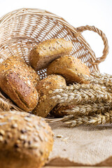 Sliced Multigrain. Rye bakery with crusty loaves and crumbs. Fresh loaf of rustic traditional bread with wheat grain ear or spike plant on natural cotton background. Bio ingredients, very healthy.