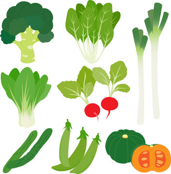 色々な野菜のイラスト（カラー）