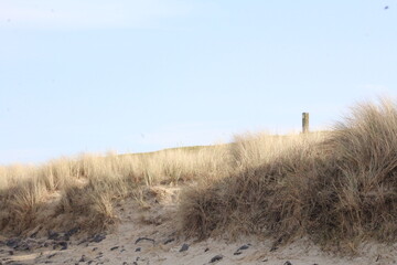 dunes in the dunes
