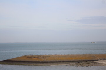 morning on the beach
