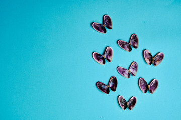 Butterflies made of tellerine on a blue background