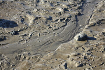 strweaming on the beach