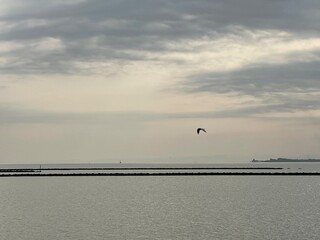 taihu