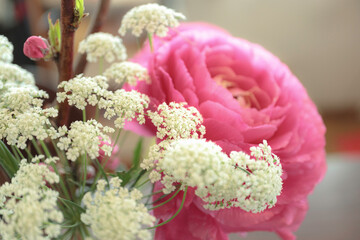 ラナンキュラスとホワイトレースフラワー