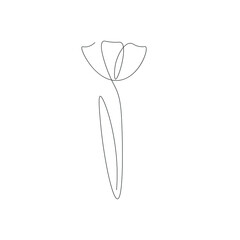 Flower drawing on white background, vector illustration