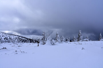 Karkonosze, zima, śnieg, warunki na szlakach, Sudety