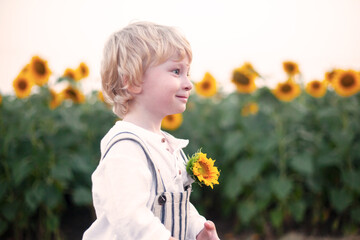 Pretty blondboy dressed fashion style overalls posing in the fieald with sunflowers
