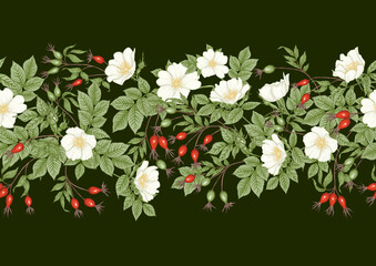 Rose hips with flowers and berries seamless pattern. Graphic drawing, engraving style. Vector illustration on black background