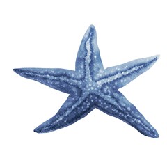 Watercolor starfish isolated on white background