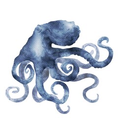 Watercolor octopus isolated on white background 
