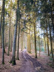 Bavarian Forest walk way begin of Spring for new destinations and targets