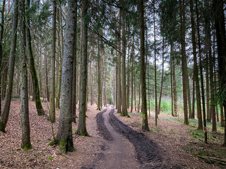 Bavarian Forest walk way begin of Spring for new destinations and targets