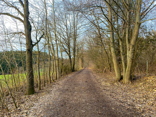 Fototapeta premium Bavarian Forest walk way begin of Spring for new destinations and targets