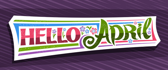 Vector banner Hello April, white modern concept with curly calligraphic font, illustration of colorful flowers, decorative greeting card with unique swirly hand written lettering hello april on purple © mihmihmal