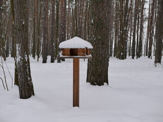 A homemade wooden bird feeder in a winter park on a cloudy snowy day. Birdwatching in a city park