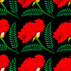 Fototapeta na wymiar Red terry poppy on a black background - illustration. Square.
