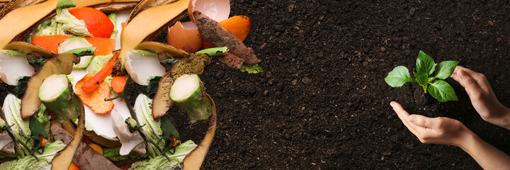 Organic waste for composting on soil and woman taking care of seedling, top view. Natural fertilizer