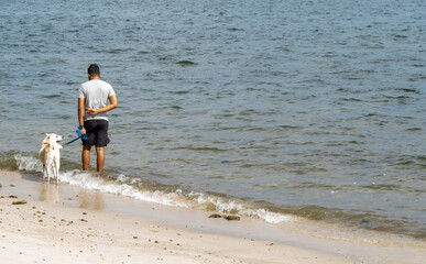 Man while walking his dog on a beach side with white sand and waves
