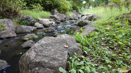 日本の公園の小川