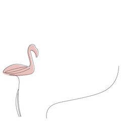 Pink flamingo bird, vector illustration