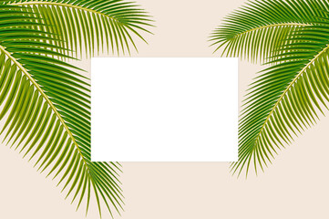 Fototapeta na wymiar blank paper mockup with beautiful palm leaves