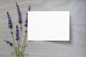 a4 size flyer mockup with beautiful purple flowers