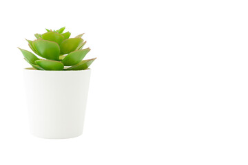 Artificial plant in white pot isolated on white background. Copy space.
