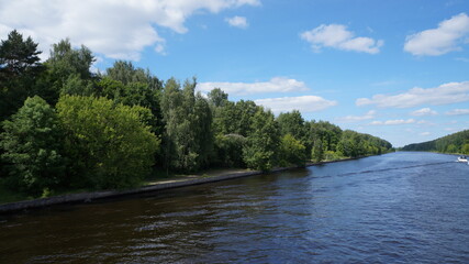 Naklejka premium canal in the forest
