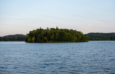 small forest island at lake