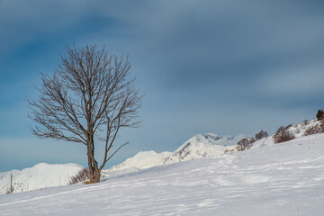 Ski mountaineering on mount Matajur, Friuli-Venezia Giulia, Italy