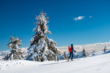 Fototapeta na wymiar Ski mountaineering in the Mount Zoncolan ski area, Carnic Alps, Friuli-Venezia Giulia, Italy