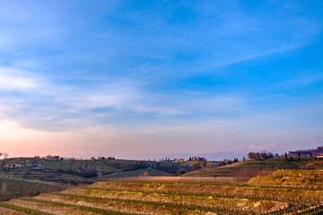 Obraz premium Spring sunset in the vineyards of Collio Friulano