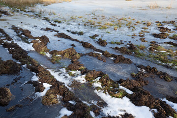 Flooded meadow and dirt road through melting snow.