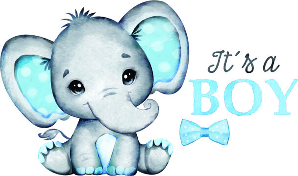 4 348 Best Baby Elephant Clipart Images Stock Photos Vectors Adobe Stock