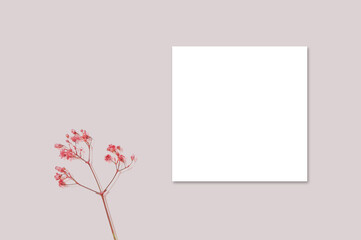 square flyer mockup with beautiful pink flowers