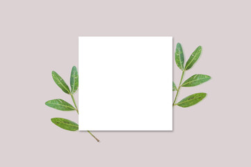 square flyer mockup with beautiful green leafs