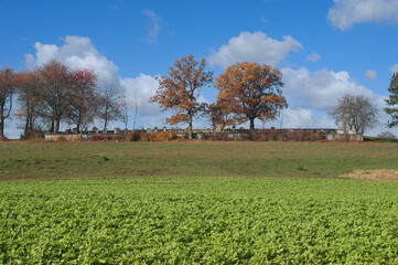 Jüdischer Friedhof bei Krautheim