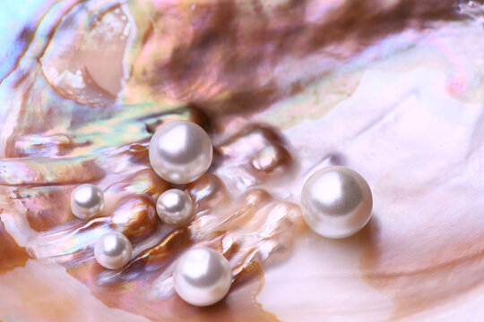 Natural pearls inside the oyster shell