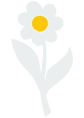 Daisy, Flower, Nature, Summer