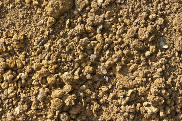 Detail of dry brown soil from a garden