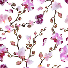 Vector bright seamless textile pattern pink and red Orchid flowers isolated on white background. Floral triangular design elements in low poly style. 