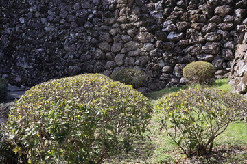 高知城