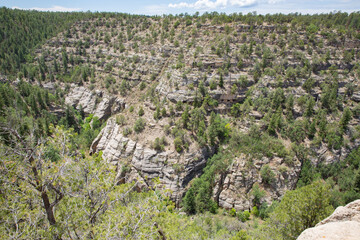 Fototapeta na wymiar Walnut Canyon National Monument near Flagstaff in Arizona, USA, hidden Indian ruins