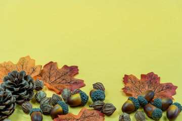 Pine cone, autumns leaves and seeds on yellow background. Autumn Thanksgiving Background with copy space